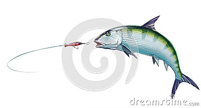 Bonefish fish attacks Popper Lures Topwater Fishing Baits. Stock Photo