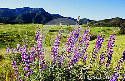 Boney mountain Stock Photo