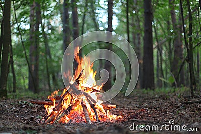 Bonfire. Stock Photo