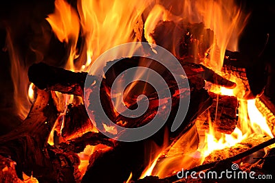 Bonfire Stock Photo