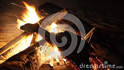 Fire flames with bonfire burn wood in the dark Stock Photo