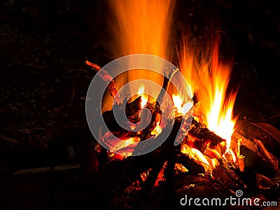 Bonfire burning firewood in fire from night camp in the forest. Flame from bonfire making warm in winter. Stock Photo