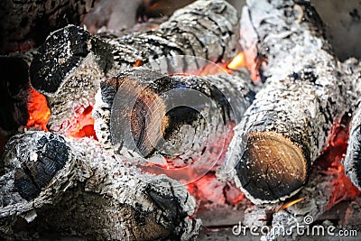 Bonfire Stock Photo