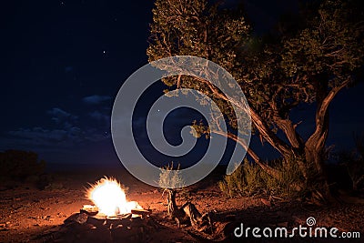 Bonfire under the Stars Stock Photo