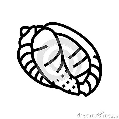 bonnet sea shell beach line icon vector illustration Vector Illustration