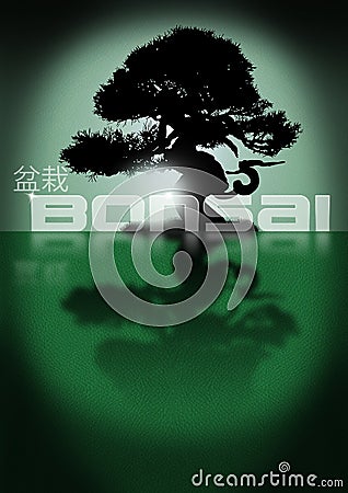 Bonsai Stock Photo