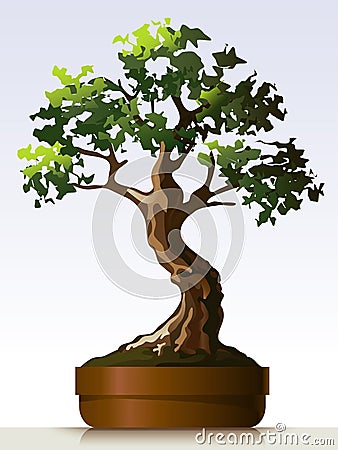 Bonsai Vector Illustration