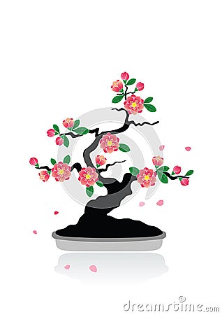 Bonsai Vector Illustration