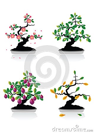 Bonsai Cartoon Illustration