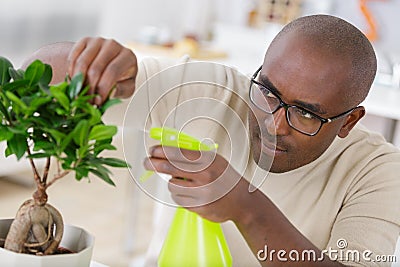 bonsai care and tending houseplant growth Stock Photo