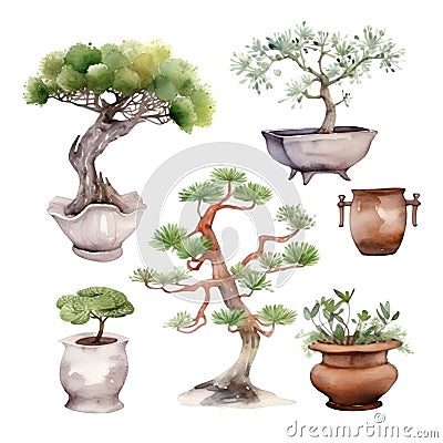 Bonsai collection. Hand drawn watercolor illustration isolated on white background Cartoon Illustration