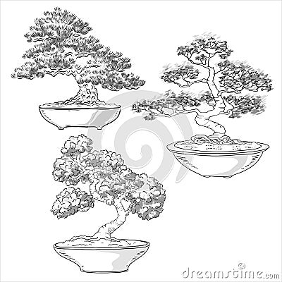 Bonsai collection. Japanese tree miniature. Potted tree. Japanese art. Vector isolated on white background Stock Photo