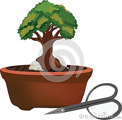 Bonsai cultivation and care of terracotta potted plants- Vector Illustration