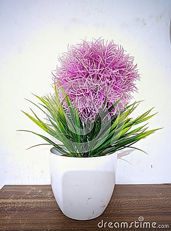 bonsai decorative flowers made of plastic material Stock Photo