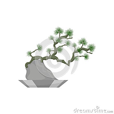 Bonsai. House plant realistic icon for interior decoration . Coniferous plant in flowerpot. vector illustration Vector Illustration