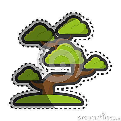 Bonsai japanese culture isolated icon Vector Illustration