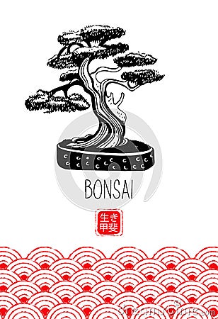 Bonsai. Japanese miniature tree. Vector hand drawn illustration Vector Illustration