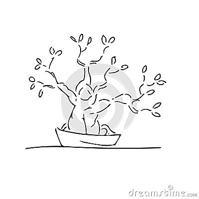 The bonsai Stock Photo