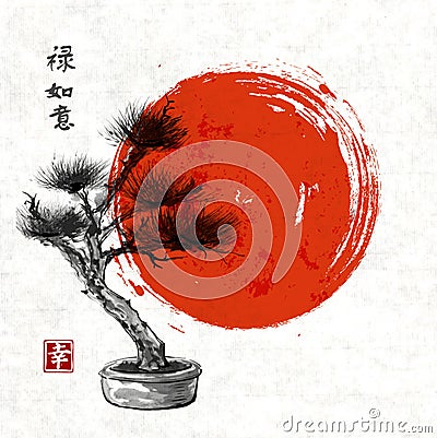 Bonsai pine tree hand drawn with ink Vector Illustration