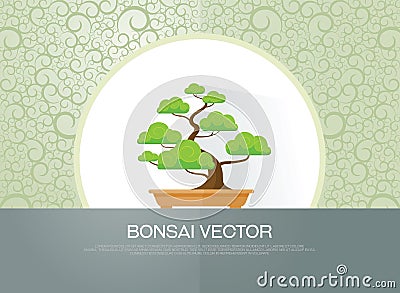 Bonsai plant Vector Illustration