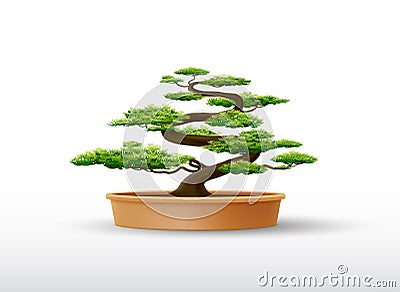 bonsai plant in pot vector illustration Vector Illustration