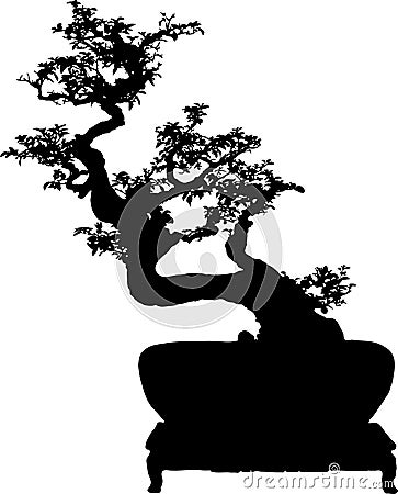 Bonsai silhouette Stock Photo