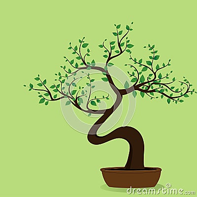 Bonsai tree Vector Illustration