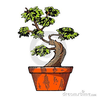 Bonsai tree engraving vector illustration Vector Illustration