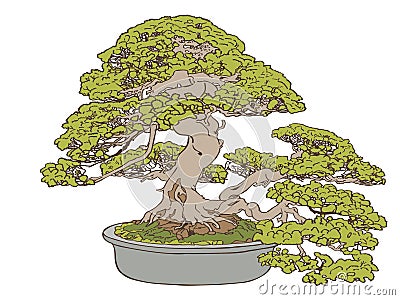 Bonsai tree Vector, Eps, Logo, Icon, Silhouette Illustration by crafteroks for different uses. Visit my website at https://crafter Vector Illustration