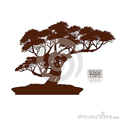 Bonsai tree. Vintage. realistic style. Detailed image, Vector illustration. Decorative arts. Mini tree in pot. Dwarf tree decorati Vector Illustration