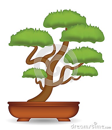 Bonsai tree on a white background vector Vector Illustration