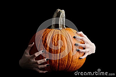 Bony hands holding halloween pumpkin on black background Stock Photo