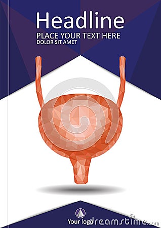 Book cover urinary bladder system with ureter and urethra. Realistic 3d low poly human organ. Annual report. A4 Medical Vector Illustration