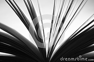 Book detail in black and white Stock Photo