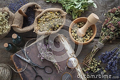 Book, eyeglasses, Tincture bottles, assortment of dry healthy herbs, mortar. Herbal medicine. Top view. Stock Photo