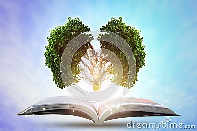 Book of growing knowledge with brains big tree. Stock Photo