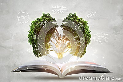 Book of growing knowledge with brains big tree. Stock Photo