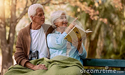 Book, search or old couple bird watching in nature for calm, relaxing or peaceful quality bonding time in New York. Love Stock Photo