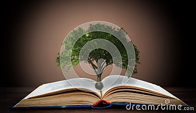Book or tree of knowledge concept with tree growing from an open book Stock Photo