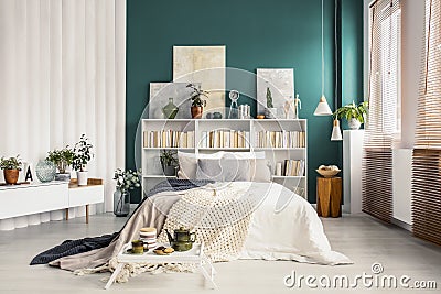Bookcase headboard in green bedroom Stock Photo