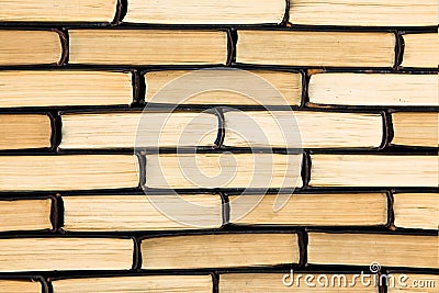 Books. Stock Photo