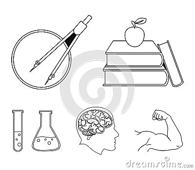 Books, an apple, a man`s head with a brain, test tubes with a reagent, a compass with a circle. School set collection Vector Illustration