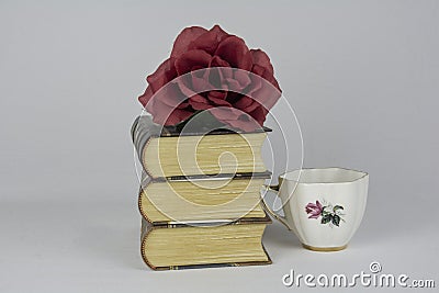 Books books books Stock Photo