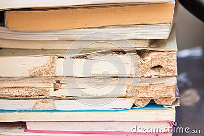 Books damaged by termites eat Stock Photo