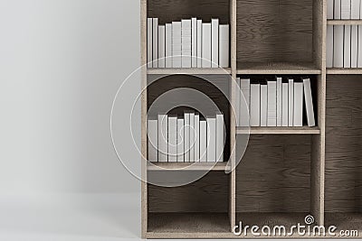 Bookshelf with books inside in the empty new house, 3d rendering Cartoon Illustration