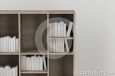 Bookshelf with books inside in the empty new house, 3d rendering Cartoon Illustration