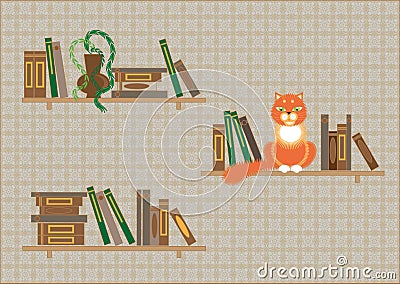 Bookshelves and a cat Vector Illustration