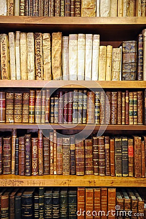 Bookshelves inside a bookstore, antique books, library Editorial Stock Photo