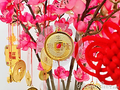 Booming business golden copper coins, and charms hanging on peach blossom branches. select focus. Stock Photo