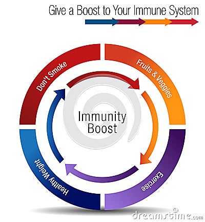 Boost and Stregthen Your Immune System Chart Vector Illustration